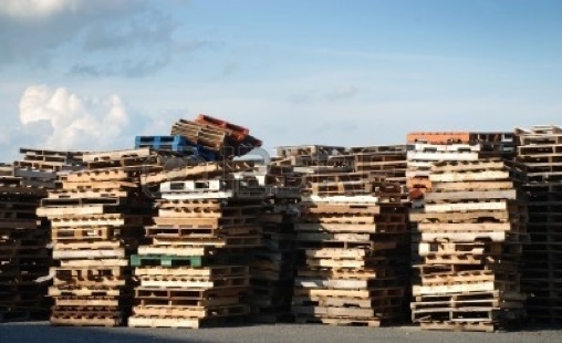 Brûle-palettes (4) Décembre