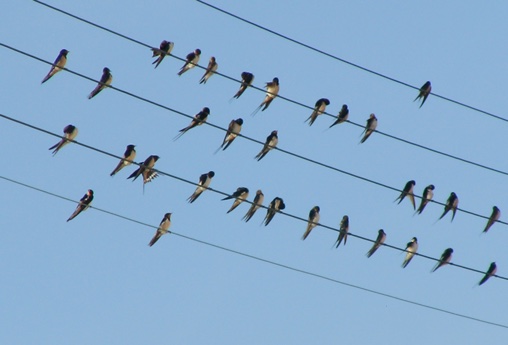 Dérisoire est la nostalgie